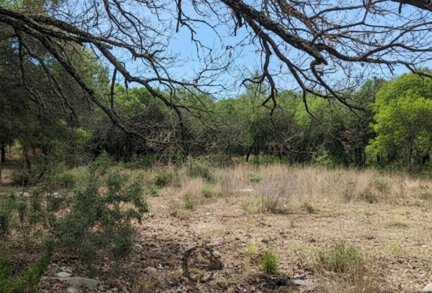 vente Terrain Sainte Croix De Quintillargues - Photo 3