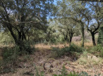 vente Terrain Sainte Croix De Quintillargues
