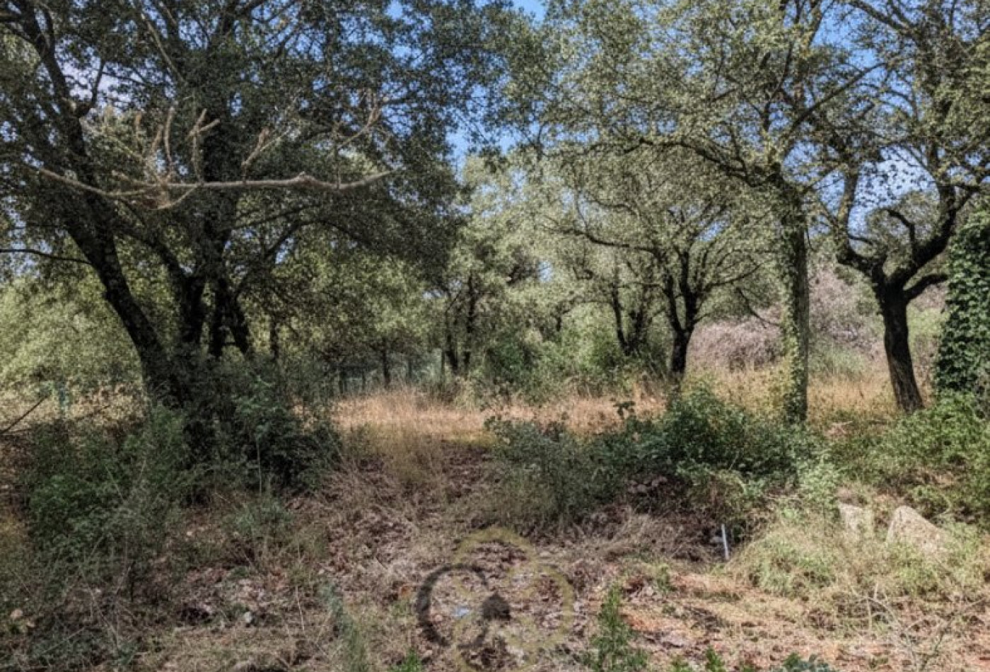 vente Terrain Sainte Croix De Quintillargues - Photo 1