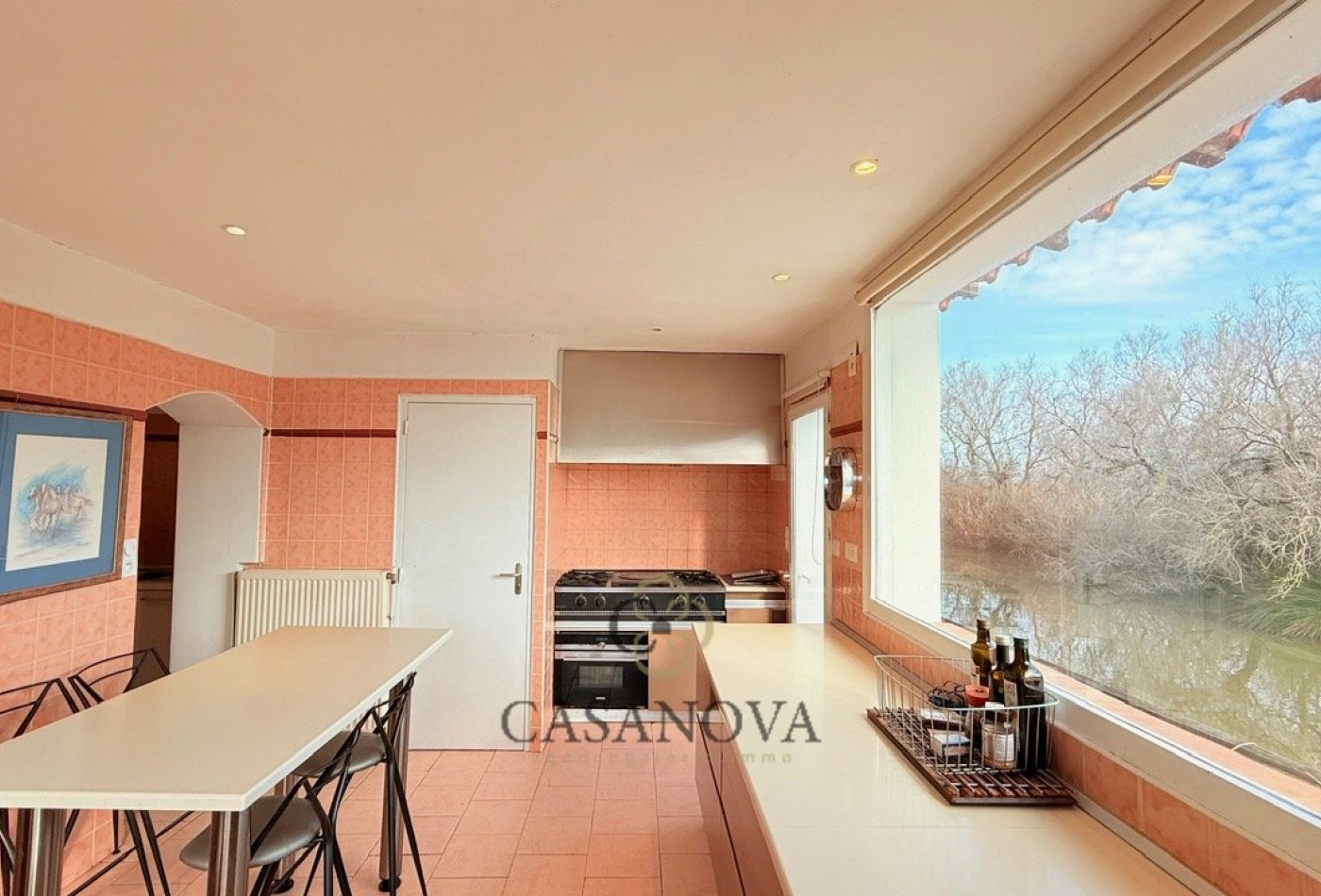 vente Propriété Saintes Maries De La Mer - Photo 10