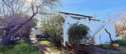 vente Maison et dépendances Saintes Maries De La Mer