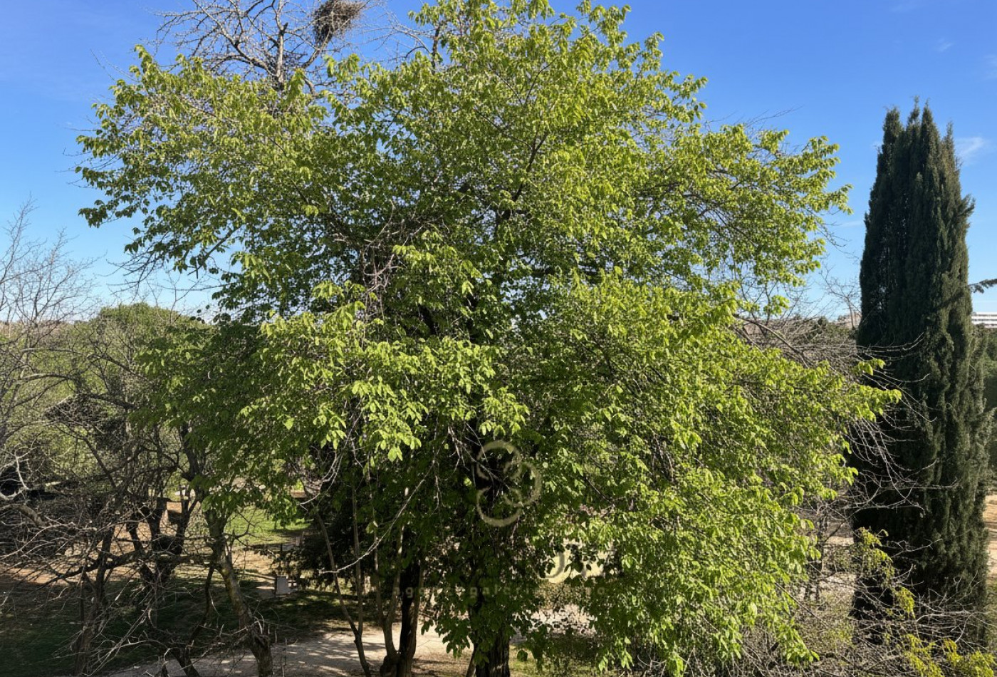 vente Appartement Montpellier - Photo 10