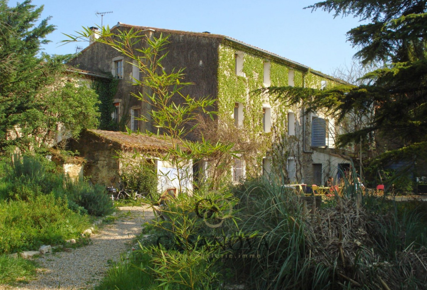 sale Maison Saint Martin De Londres - Photo 1