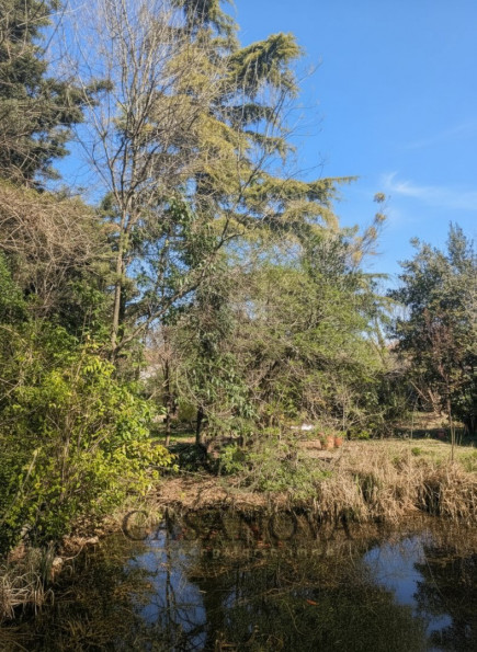 vente Maison Saint Martin De Londres - Photo 10