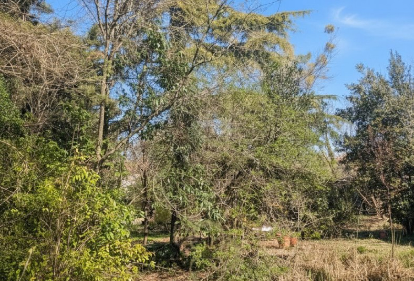 vente Maison Saint Martin De Londres - Photo 10