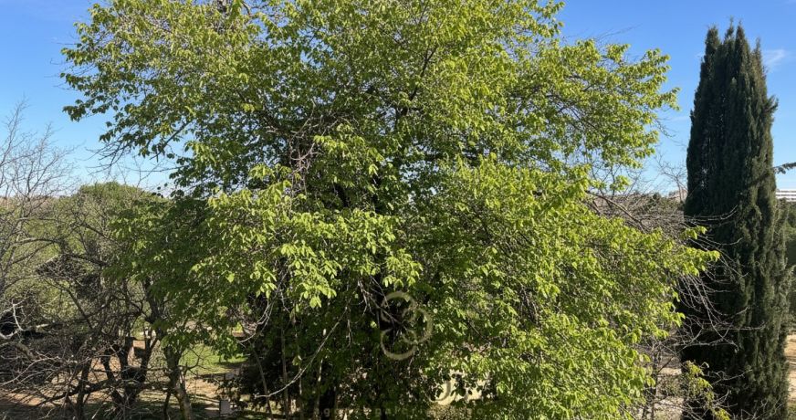 vente Appartement Montpellier