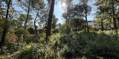 vente Saint Clement De Riviere