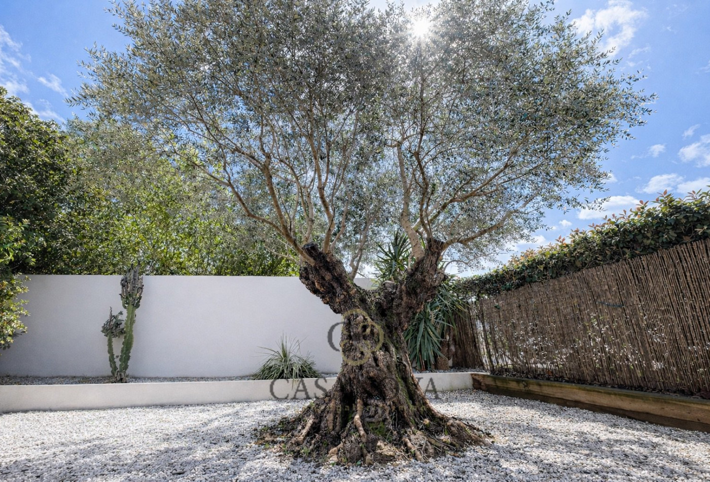 vente Appartement Montpellier - Photo 4
