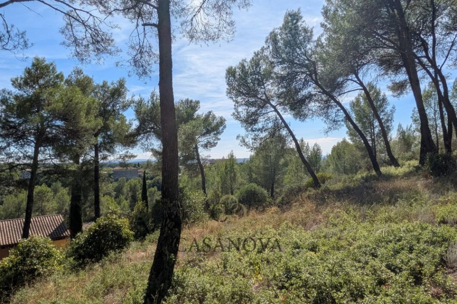 vente Maison Saint Vincent De Barbeyrargues - Photo 6