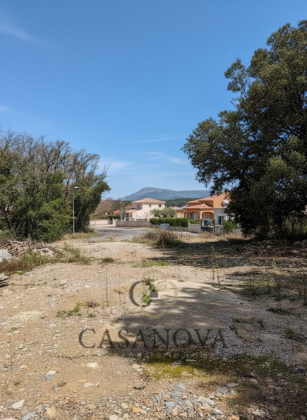 vente Terrain Sainte Croix De Quintillargues - Photo 3