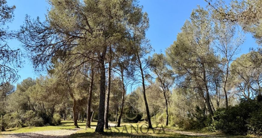 vente Terrain de loisir Montferrier Sur Lez