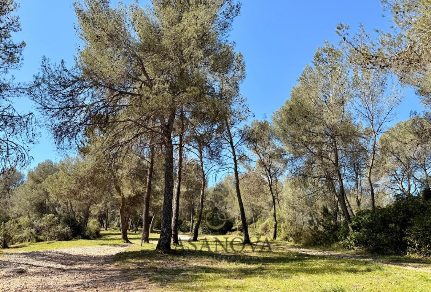 vente Terrain de loisir Montferrier Sur Lez - Photo 1