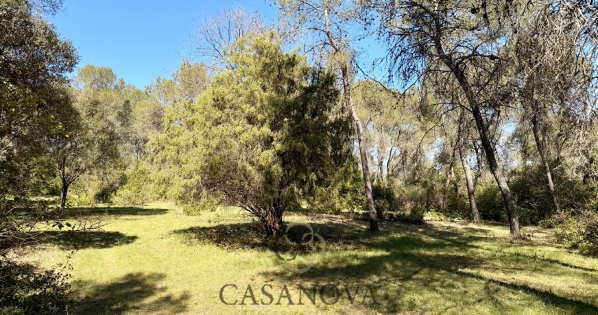 vente Terrain de loisir Montferrier Sur Lez