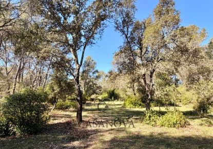 vente Terrain de loisir Montferrier Sur Lez