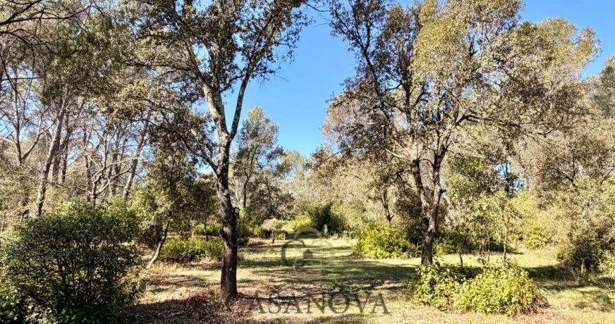 vente Terrain de loisir Montferrier Sur Lez