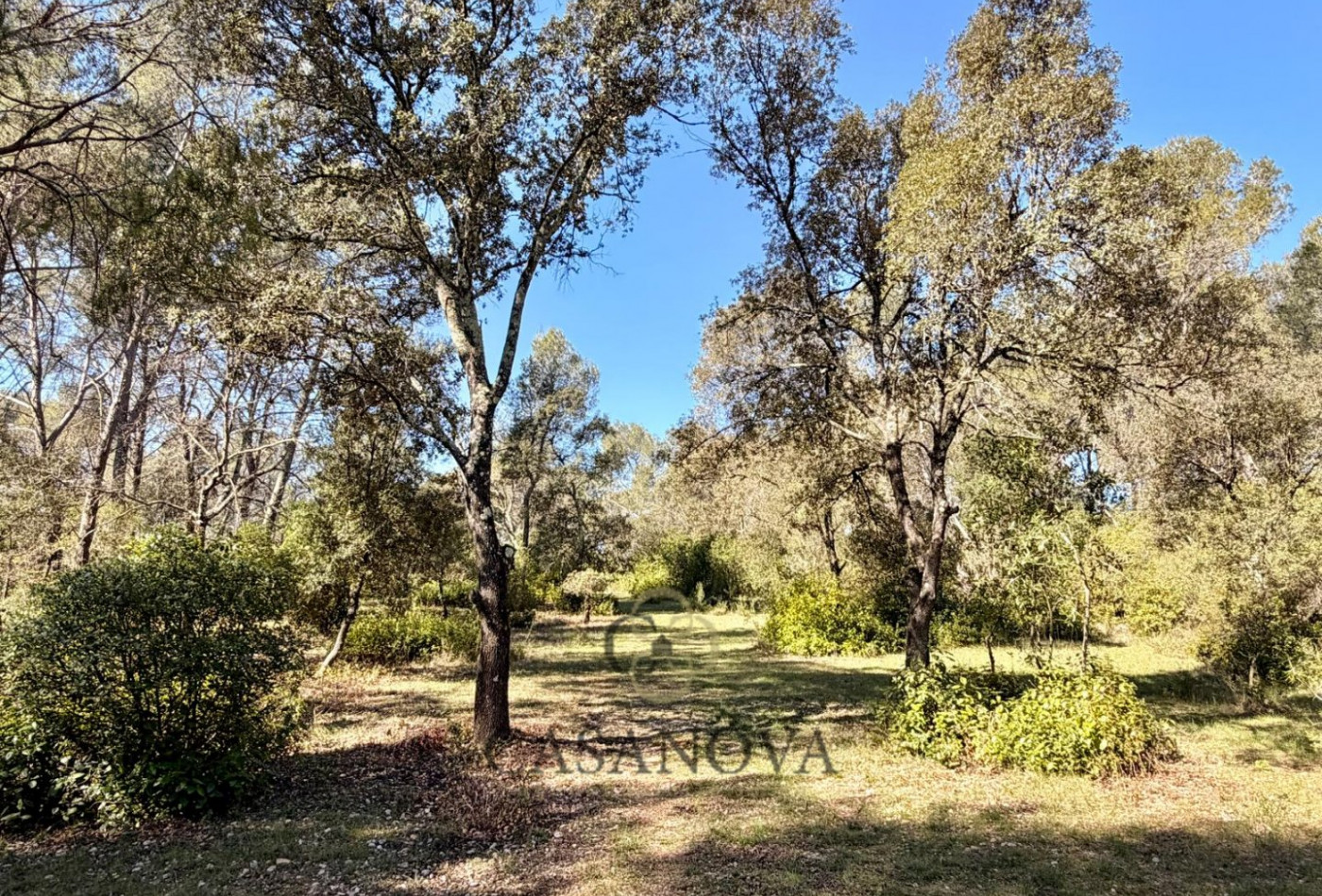 vente Terrain de loisir Montferrier Sur Lez - Photo 4