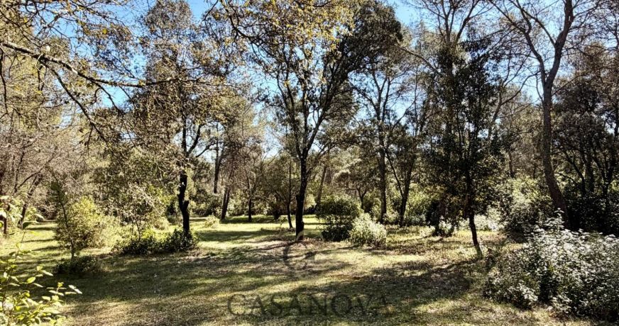 vente Terrain de loisir Montferrier Sur Lez