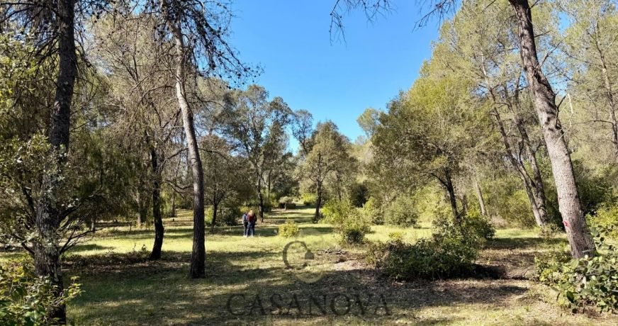 vente Terrain de loisir Montferrier Sur Lez