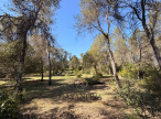 vente Terrain de loisir Montferrier Sur Lez
