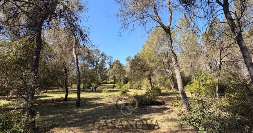 vente Terrain de loisir Montferrier Sur Lez