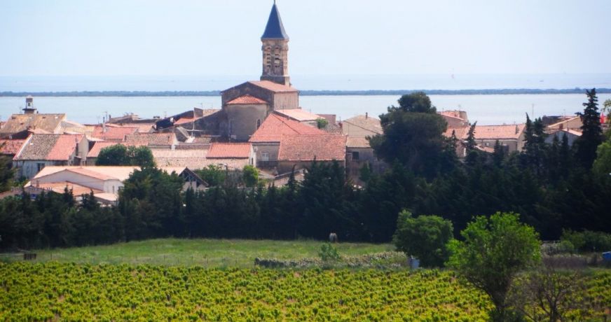 vente Maison Mireval