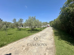sale Maison Saint Gely Du Fesc
