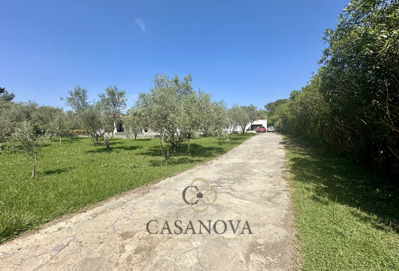 sale Maison Saint Gely Du Fesc - Photo 6