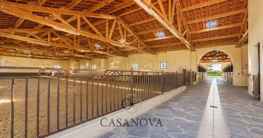 vente Haras / equestre Montpellier