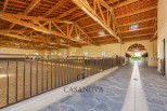 vente Haras / equestre Montpellier