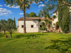 vente Haras / equestre Montpellier