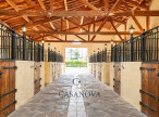 vente Haras / equestre Montpellier