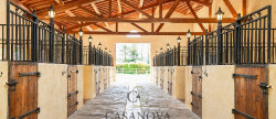 vente Haras / equestre Montpellier