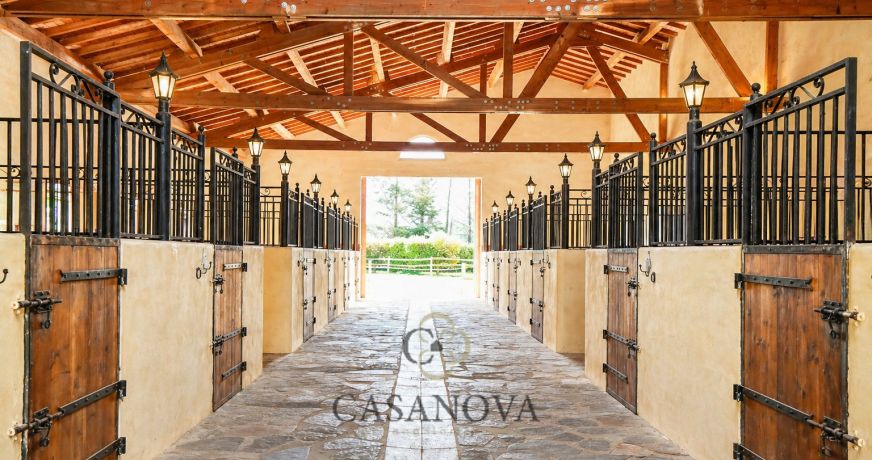 vente Haras / equestre Montpellier