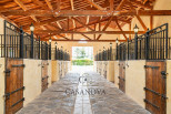 vente Haras / equestre Montpellier