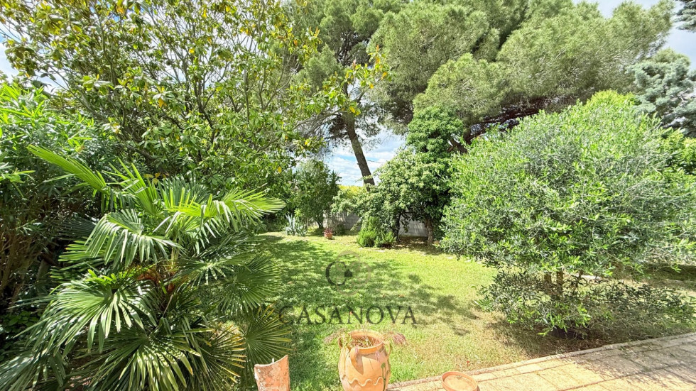 vente Villa Bassan - Photo 4