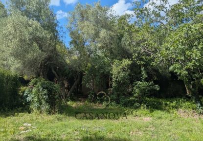 vente Terrain constructible Saint Vincent De Barbeyrargues