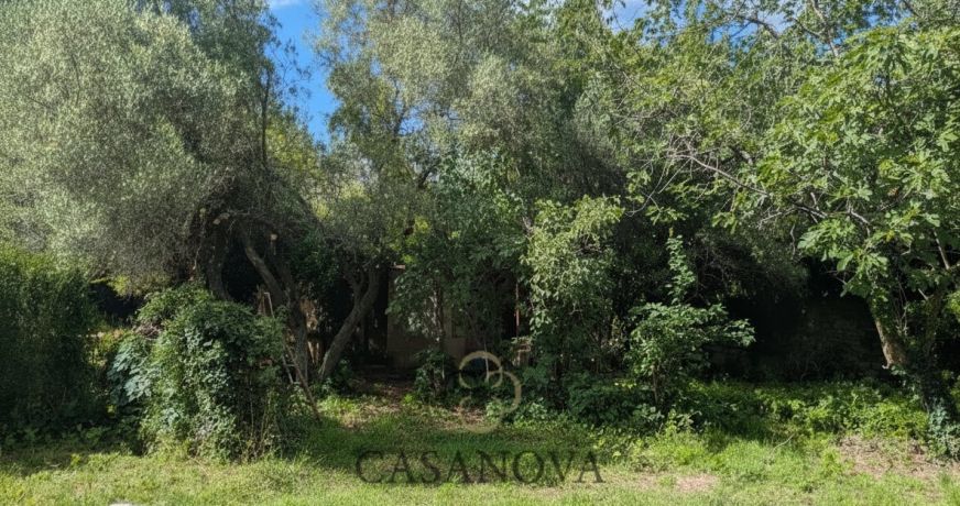 vente Terrain constructible Saint Vincent De Barbeyrargues