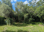 vente Terrain constructible Saint Vincent De Barbeyrargues