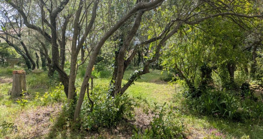 vente Maison à rénover Saint Vincent De Barbeyrargues