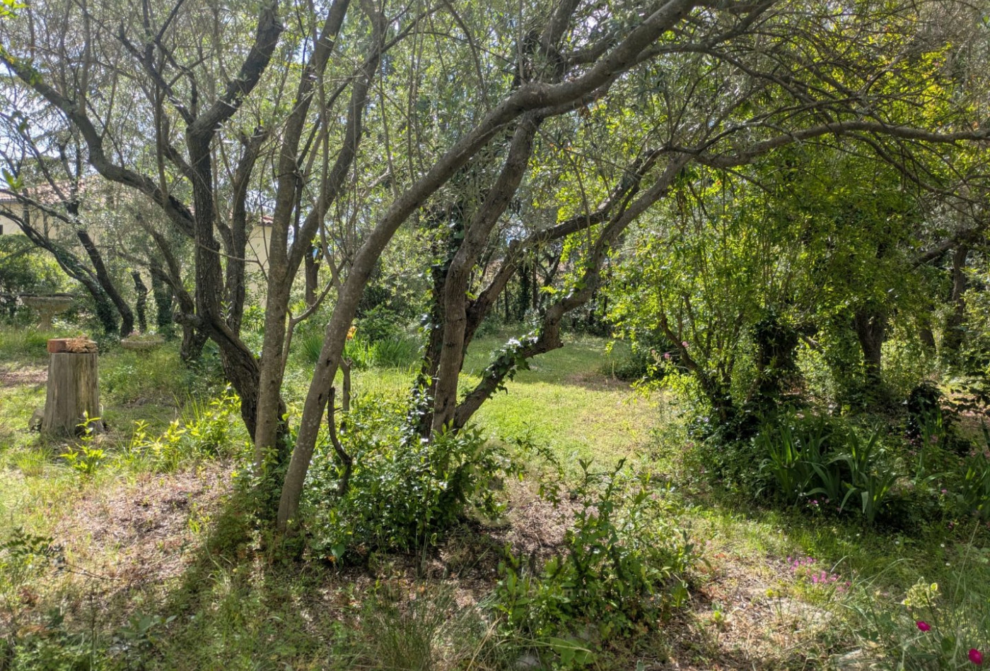 vente Maison à rénover Saint Vincent De Barbeyrargues - Photo 8