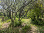 vente Maison à rénover Saint Vincent De Barbeyrargues
