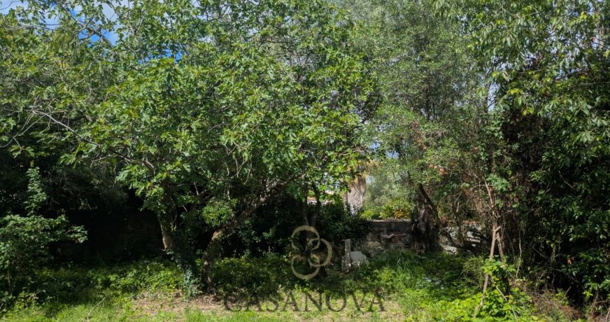 vente Maison à rénover Saint Vincent De Barbeyrargues