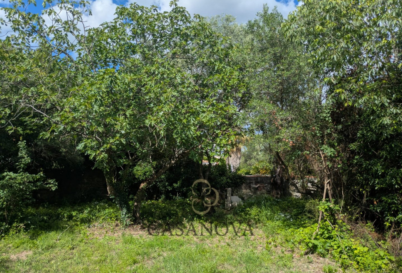 vente Maison à rénover Saint Vincent De Barbeyrargues - Photo 6