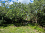 vente Maison à rénover Saint Vincent De Barbeyrargues