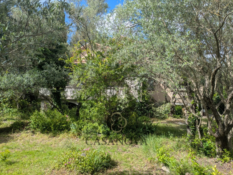 vente Maison à rénover Saint Vincent De Barbeyrargues - Photo 4