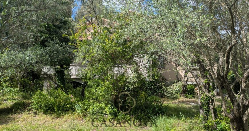 vente Maison à rénover Saint Vincent De Barbeyrargues
