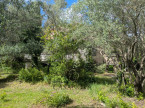 vente Maison à rénover Saint Vincent De Barbeyrargues