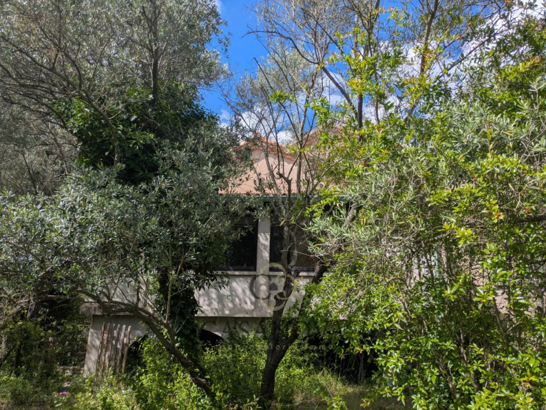 vente Maison à rénover Saint Vincent De Barbeyrargues - Photo 7