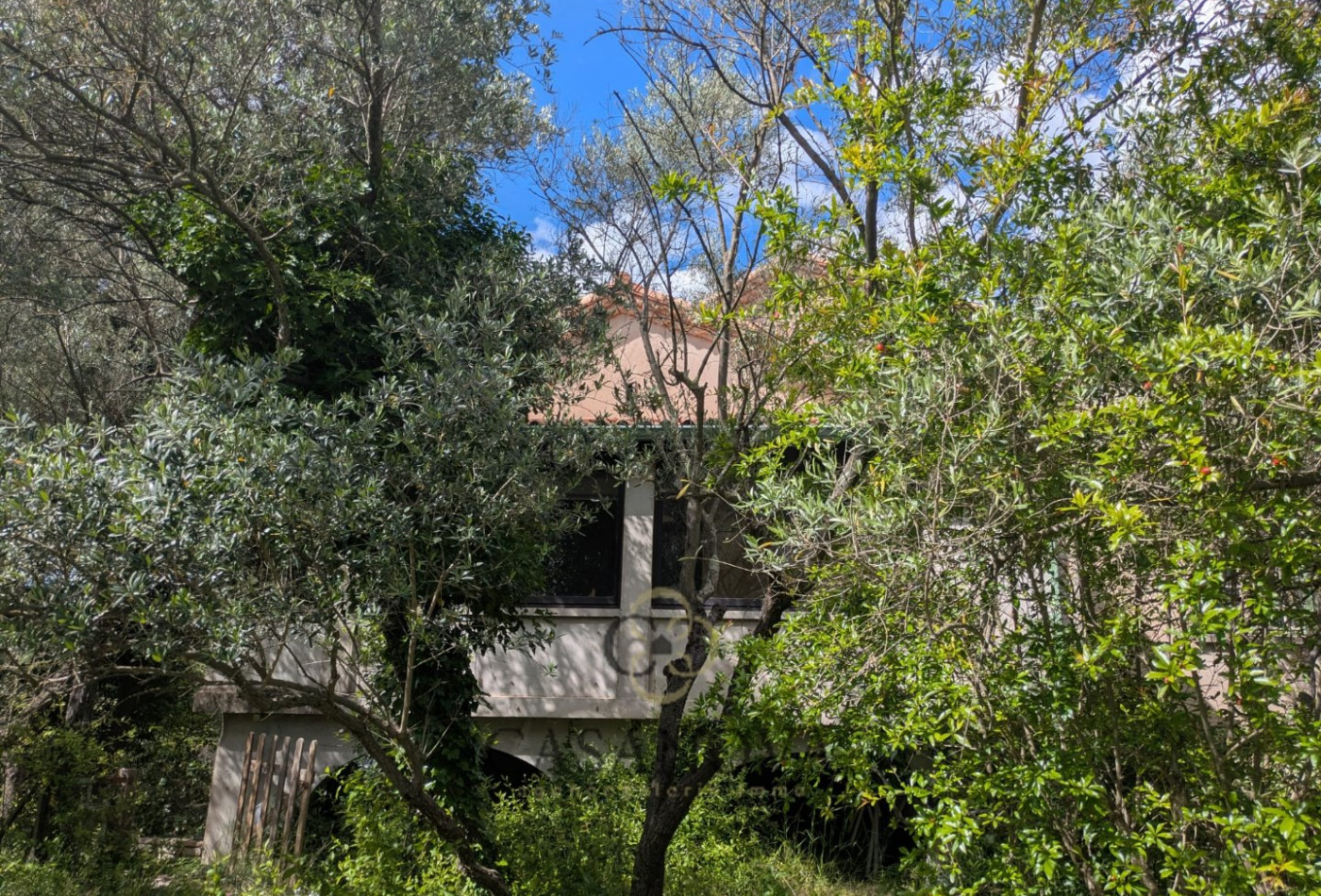 vente Maison à rénover Saint Vincent De Barbeyrargues - Photo 7