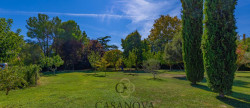 vente Maison Mauguio